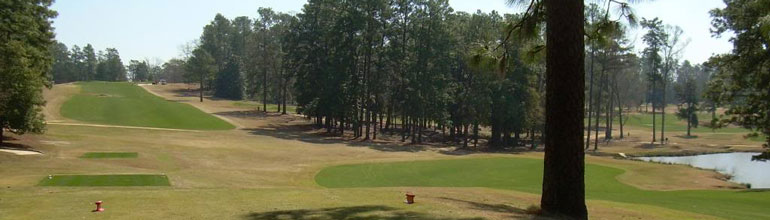 Palmetto Golf Course